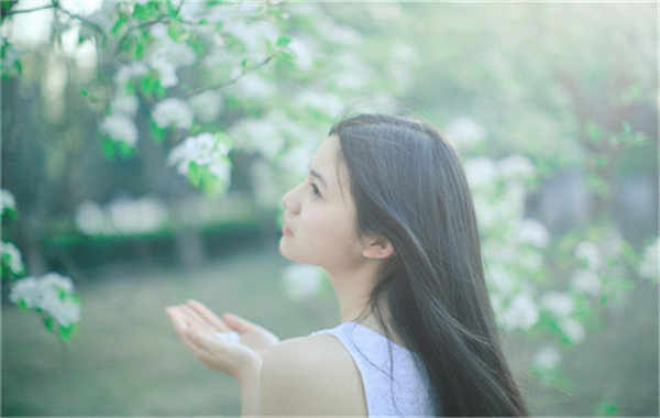 阳日镇验血查男女几周可以验(验血查男女结果图)